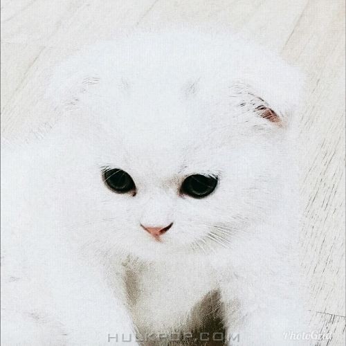 Lee Kyung Jin – 하고 싶은 말 – Single