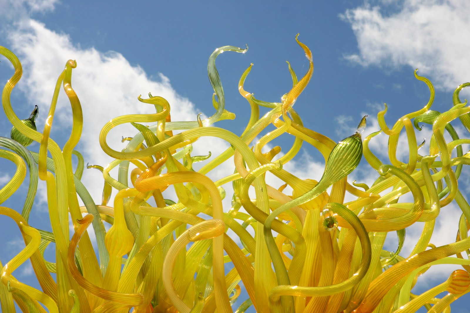 Scarlett Design: Chihuly at the St. Louis Botanical Garden