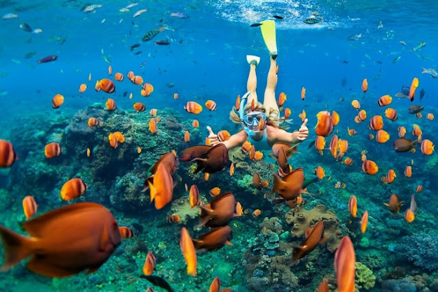 Top snorkeling spots in Malaysia