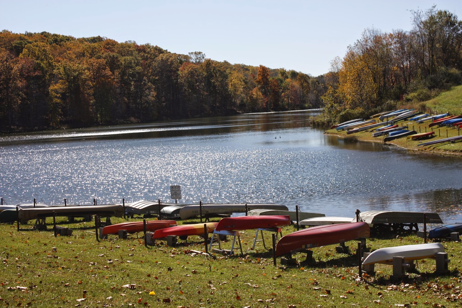 DC Scorpio Blog: Black Hill Regional Park, Boyds Maryland