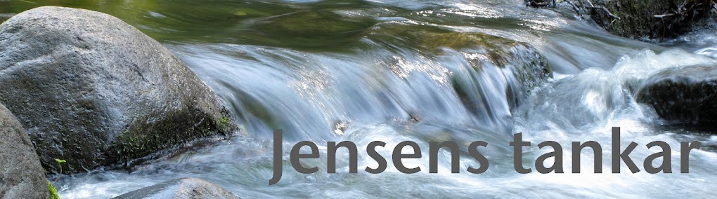 Jensens tankar