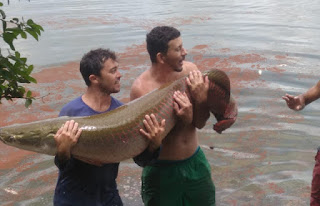 Pescador cria peixes de 60 kg no Sertão após seca afetar maior açude da PB
