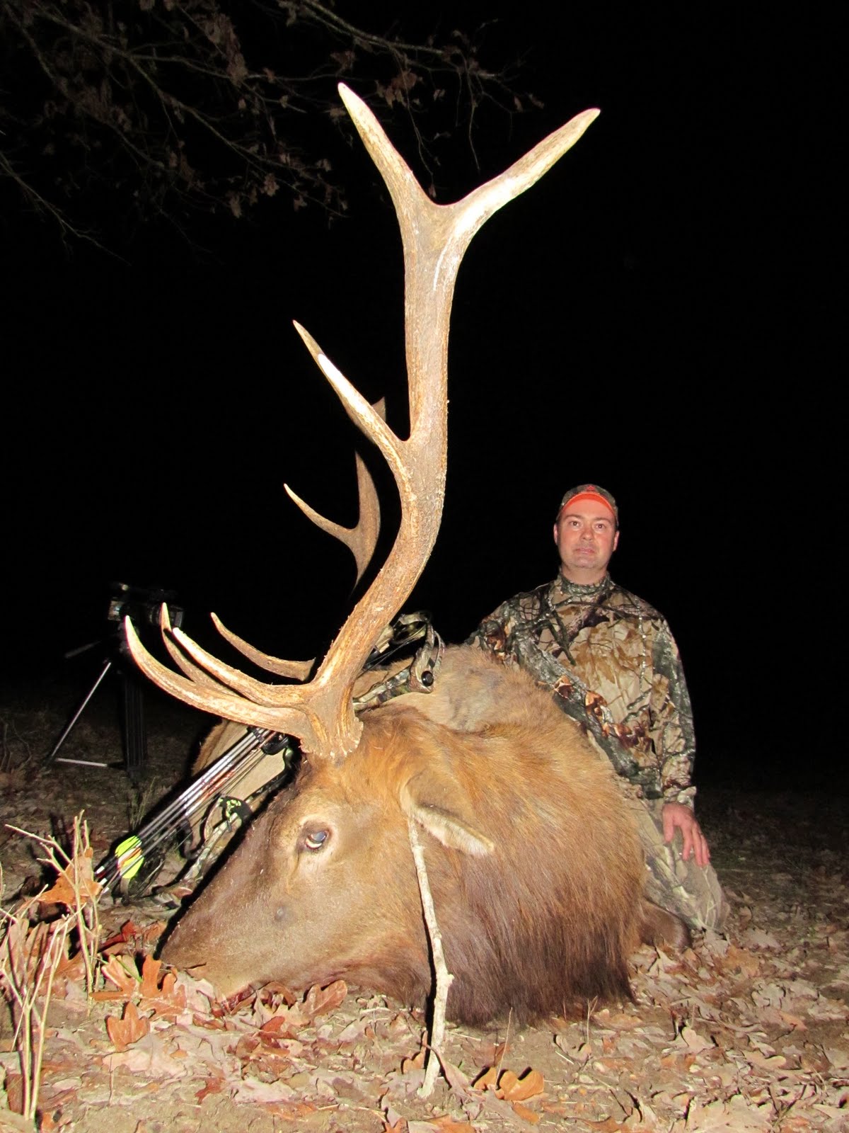 The Hunting Company Worldwide Hunting and Film Mississippi Archery Elk