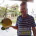 BAHIA / S. A. JESUS: Agricultor colhe laranja gigante com mais de 3 kg em zona rural