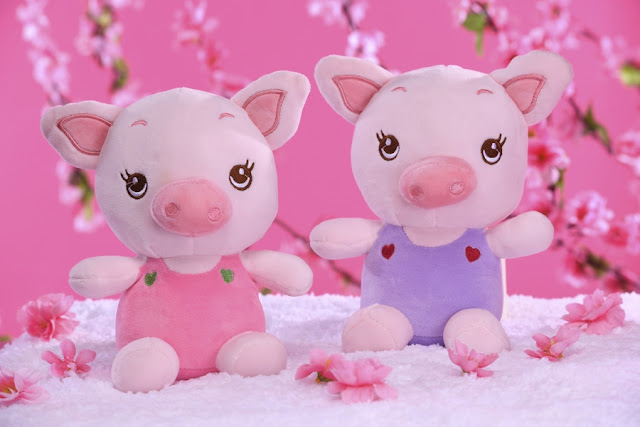 year-of-the-pig-plush-toys