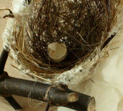 メジロの巣と卵