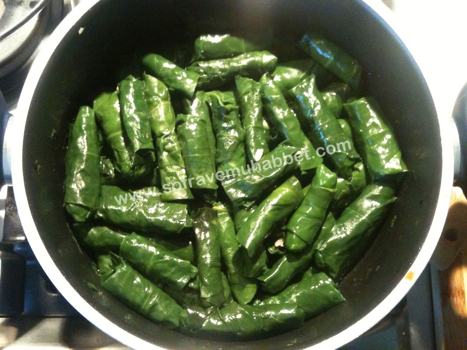 Hér Kitchén SWISS CHARD DOLMA