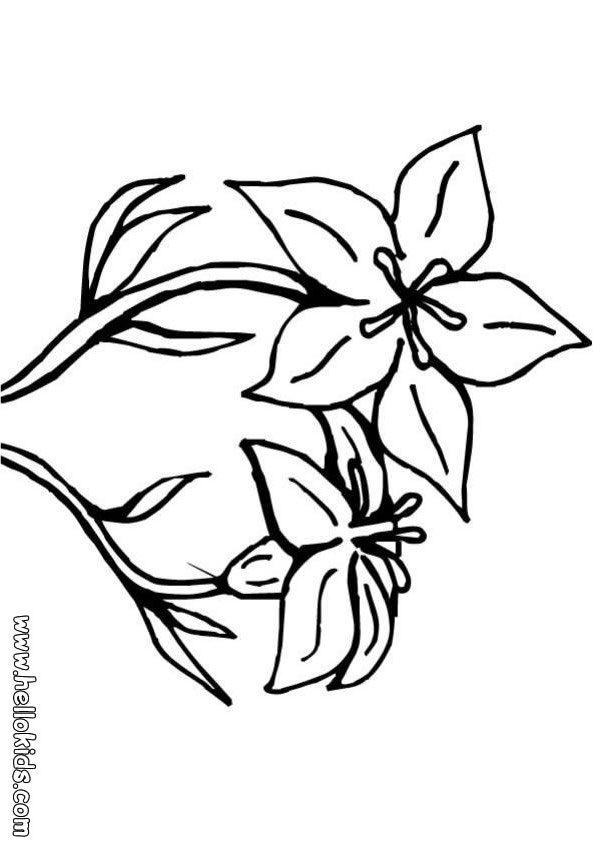 l flower coloring pages - photo #24