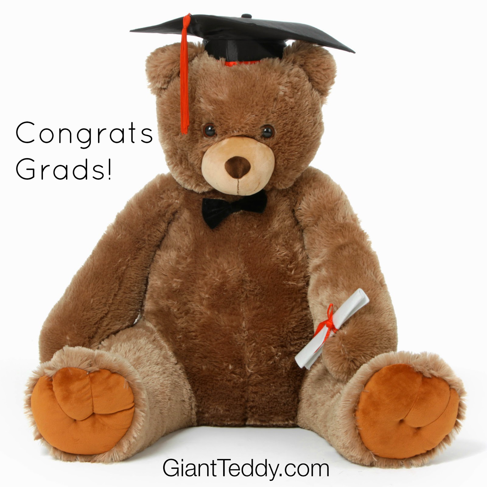 Graduation Teddy Bear Gifts