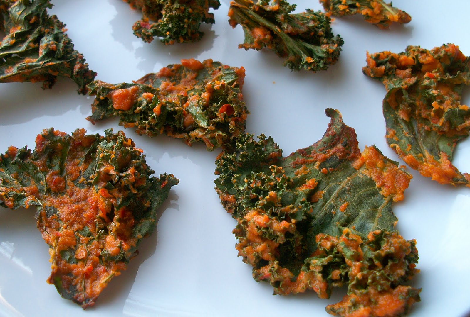 Brooke Bakes Cheesy Baked Kale Chips