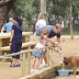 Πάρκο σκύλων στο Ηράκλειο!....