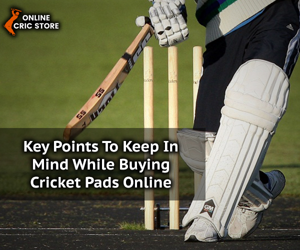 Online Cric Store Key Points To Keep In Mind While Buying Cricket