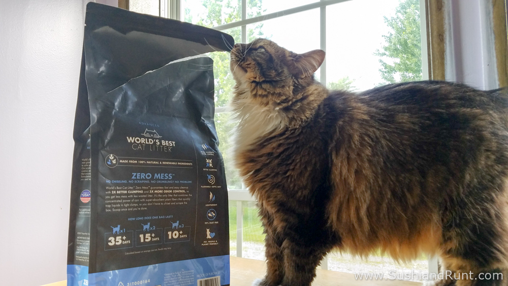 Sushi and Runt's Cat and Dog Blog ! Picky Cats Try World’s Best Cat