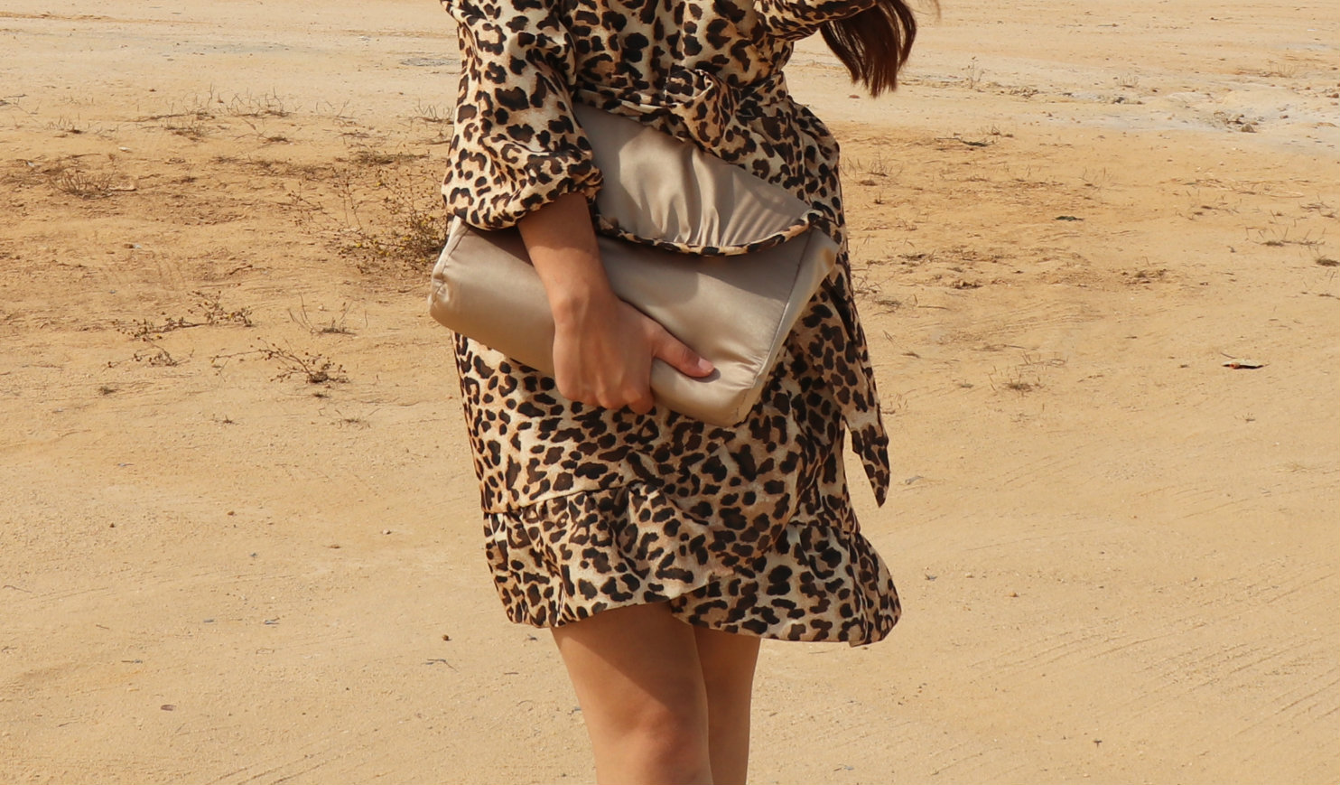 "Panthera pardus" no início de uma nova jornada "Panthera pardus" no início de uma nova jornada