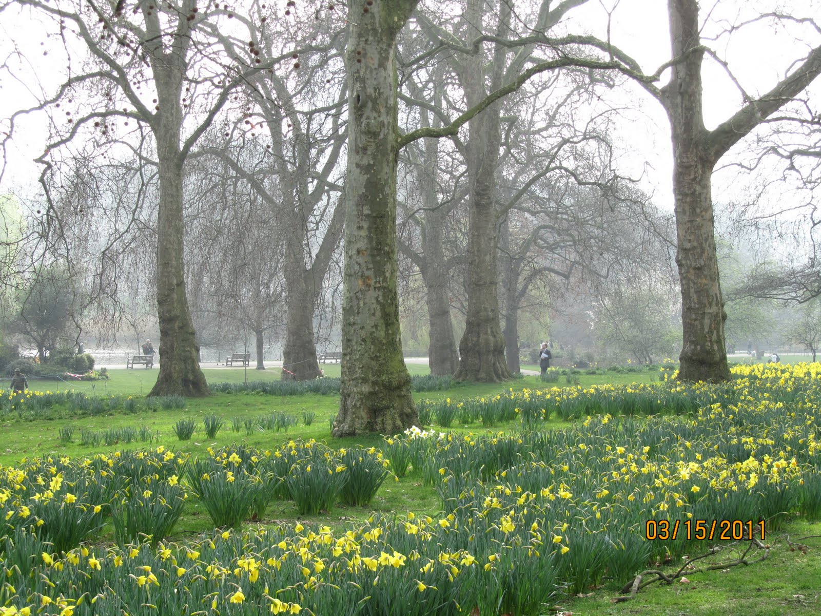 Jane Austen Moments: Spring Break in London!