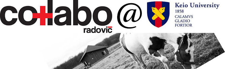 co+labo radovic barnhouse