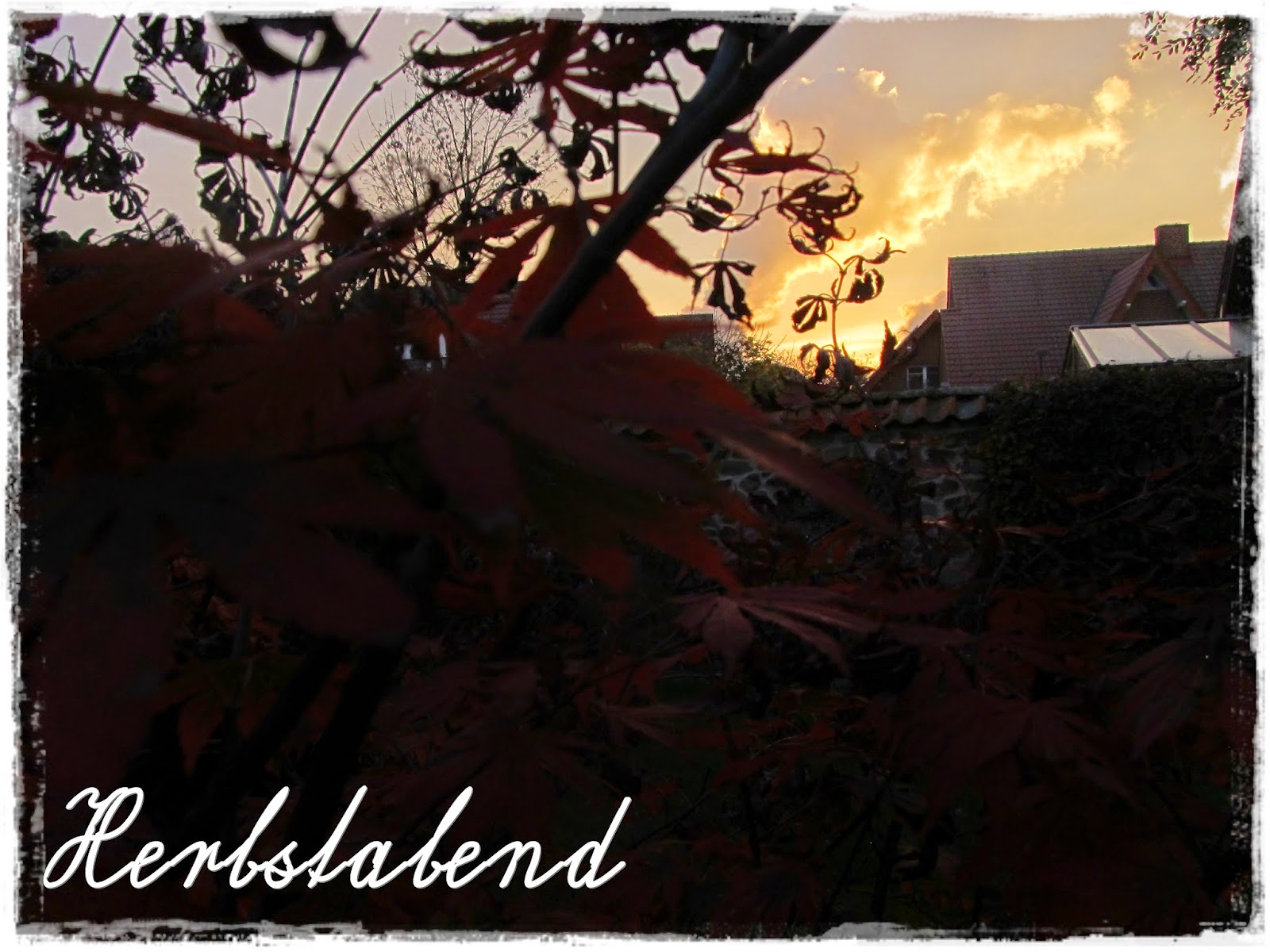 Ulli´s Welt: November 2014