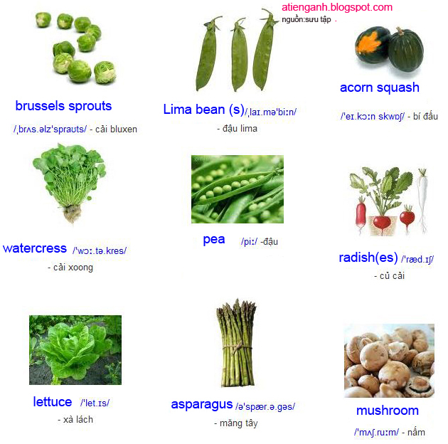 Học từ vựng bằng hình ảnh: 2.Vegetables - Rau củ quả