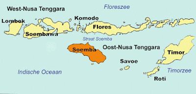 busca dragón Komodo. Isla Flores. Indonesia.