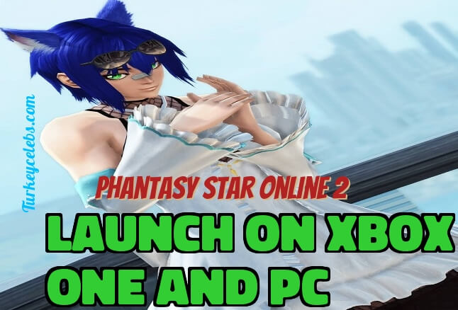 √ The ultimate guide to phantasy star online 2 pc