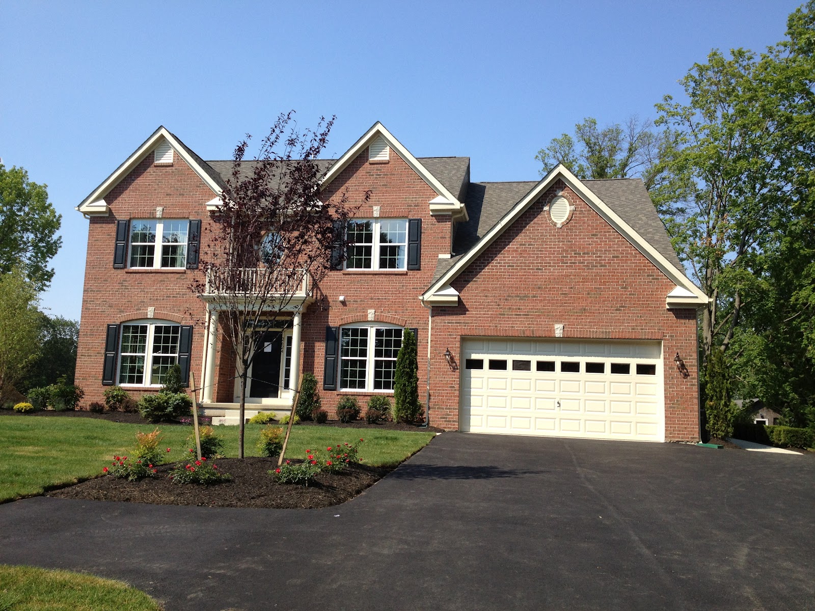 What's Buzzin? We're Building a Savoy with Ryan Homes! Grand Opening