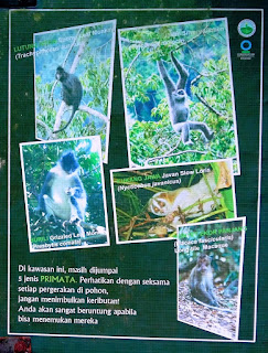 Papan-Informasi-di-Hutan Perbedaan jenis hewan bisa dilihat pada papan informasi di hutan