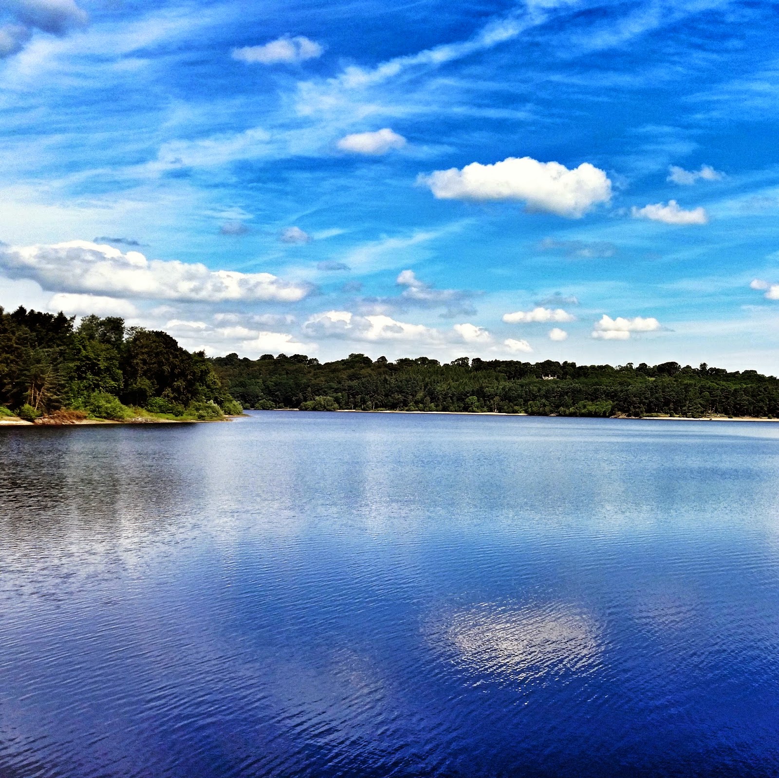 Swintsy reservoir