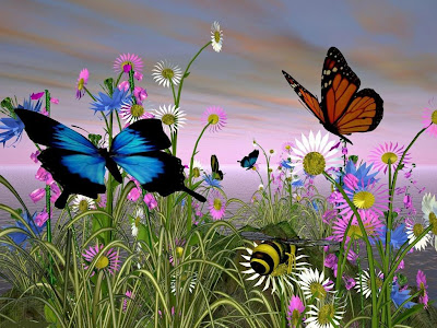 Butterfly ~ HD Wallpaper