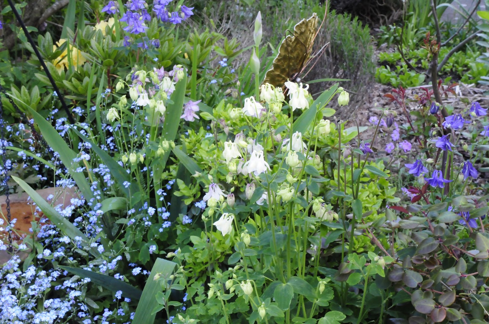 Megan Seagren�s Journal Planting a New Pacific Northwest