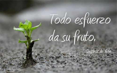 Aura Rosero Coaching: El Esfuerzo Personal es maravilloso!!