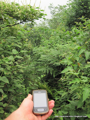 A campo traviesa buscando el GeoCache  Sanmaofeng Mountain