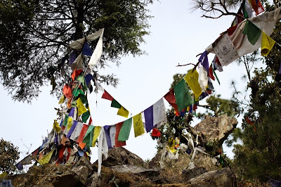 Strings of prayer flags, McLeod Ganj in Dharamsala