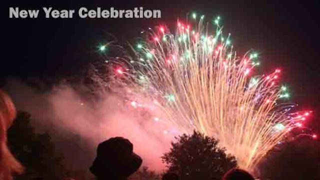 new year celebration ideas & images new year celebration ideas & images