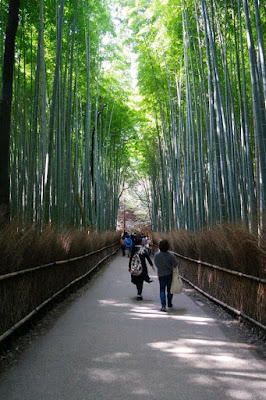 10D9N Spring Japan Trip: Arashiyama Bamboo Path, Kyoto