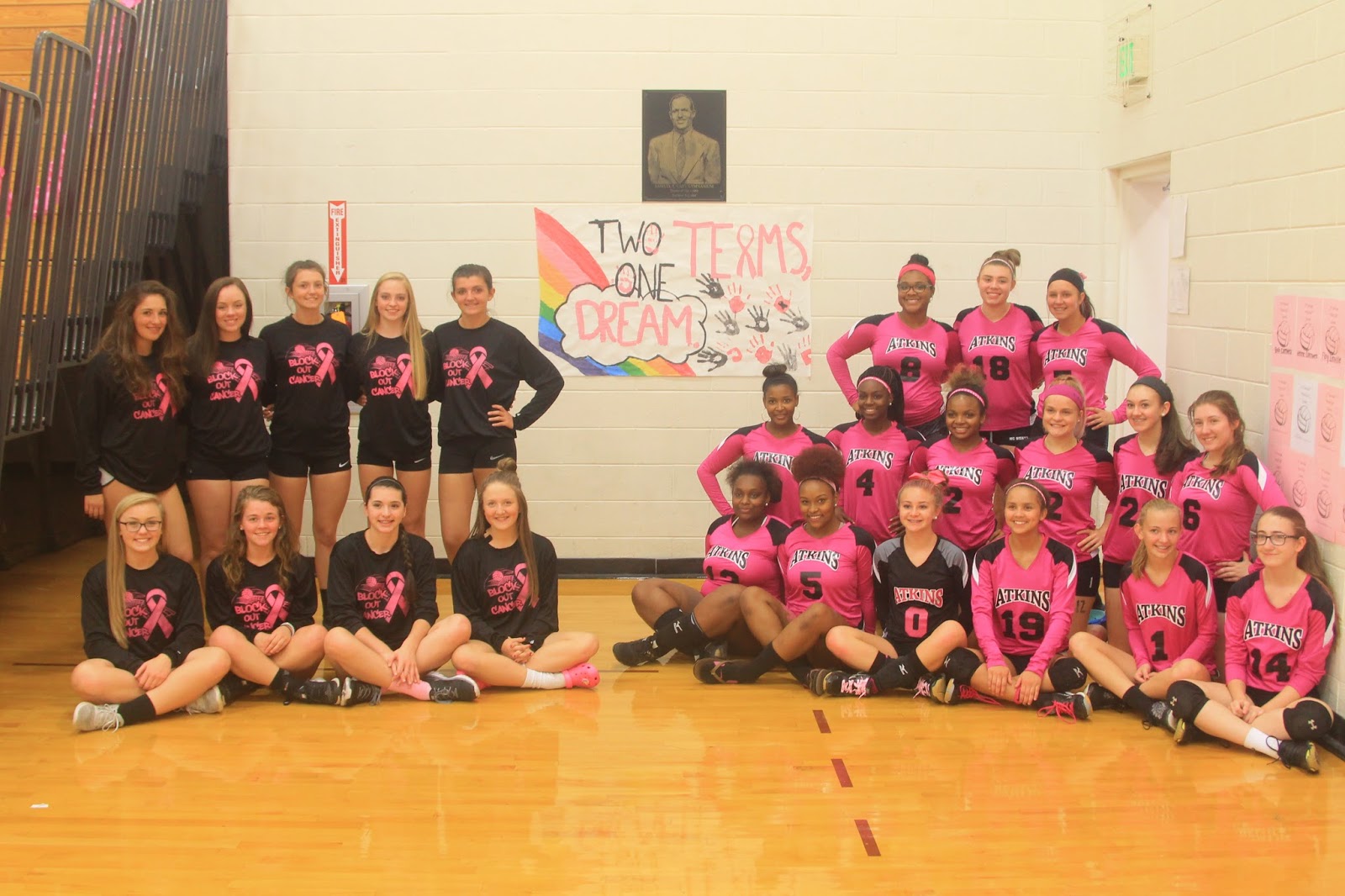 Your Permanent Record Girls' Volleyball Teams at Walkertown and Atkins