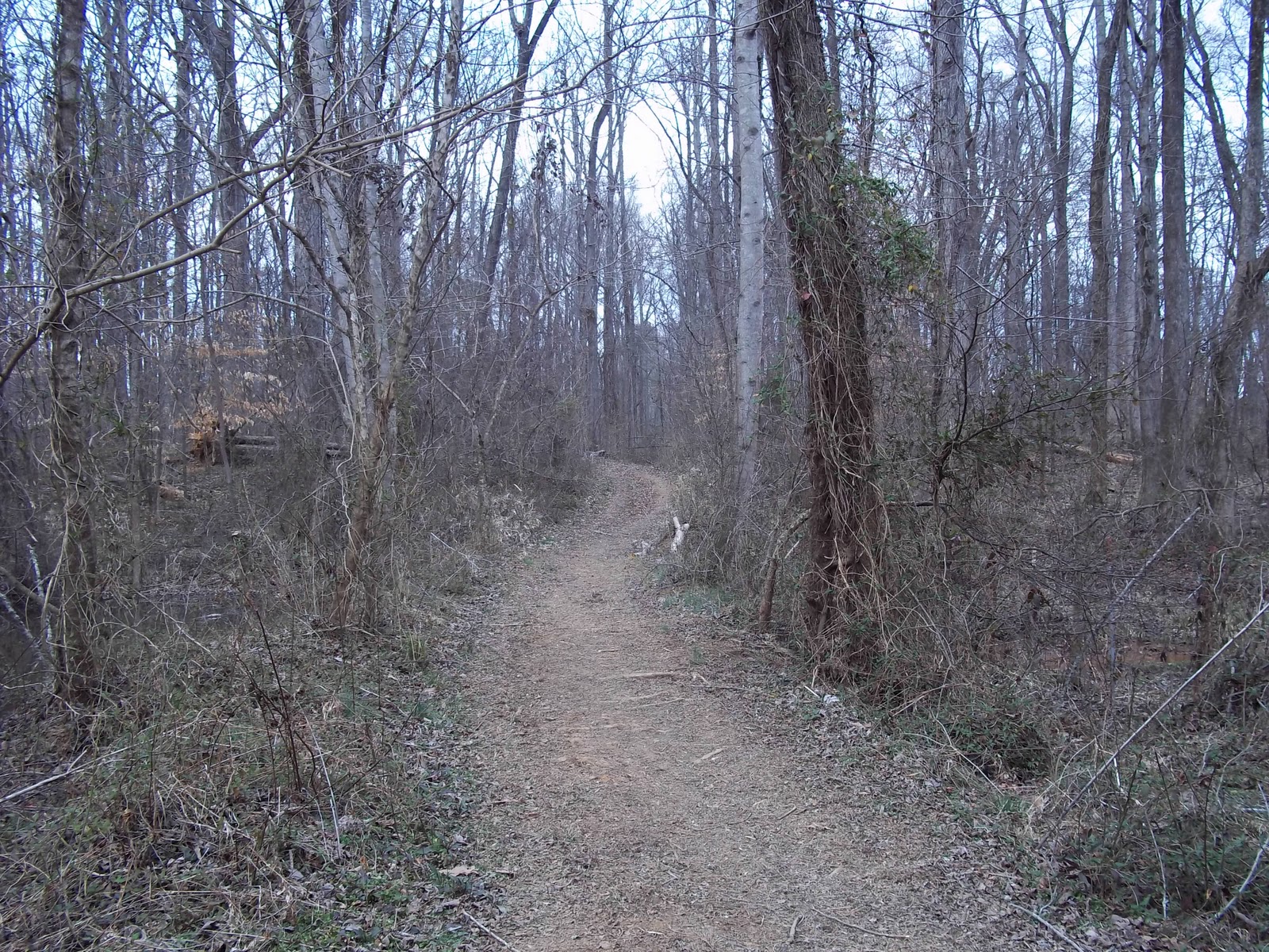 tanglewood bike trails