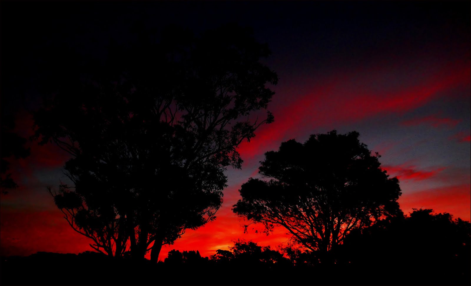 Czerwony zachód nad Parkiem Astrolabe, Sydney 18.07.20