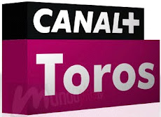 PROGRAMACIÓN DIARIA DE CANAL + TOROS