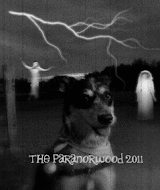 3rd Annual Fright Week in the Paranorwood