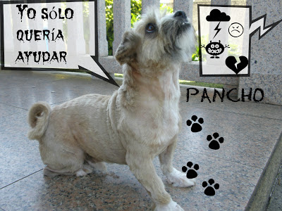 mi-perro-Pancho