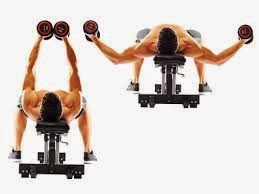 Best Dumbbell Workouts