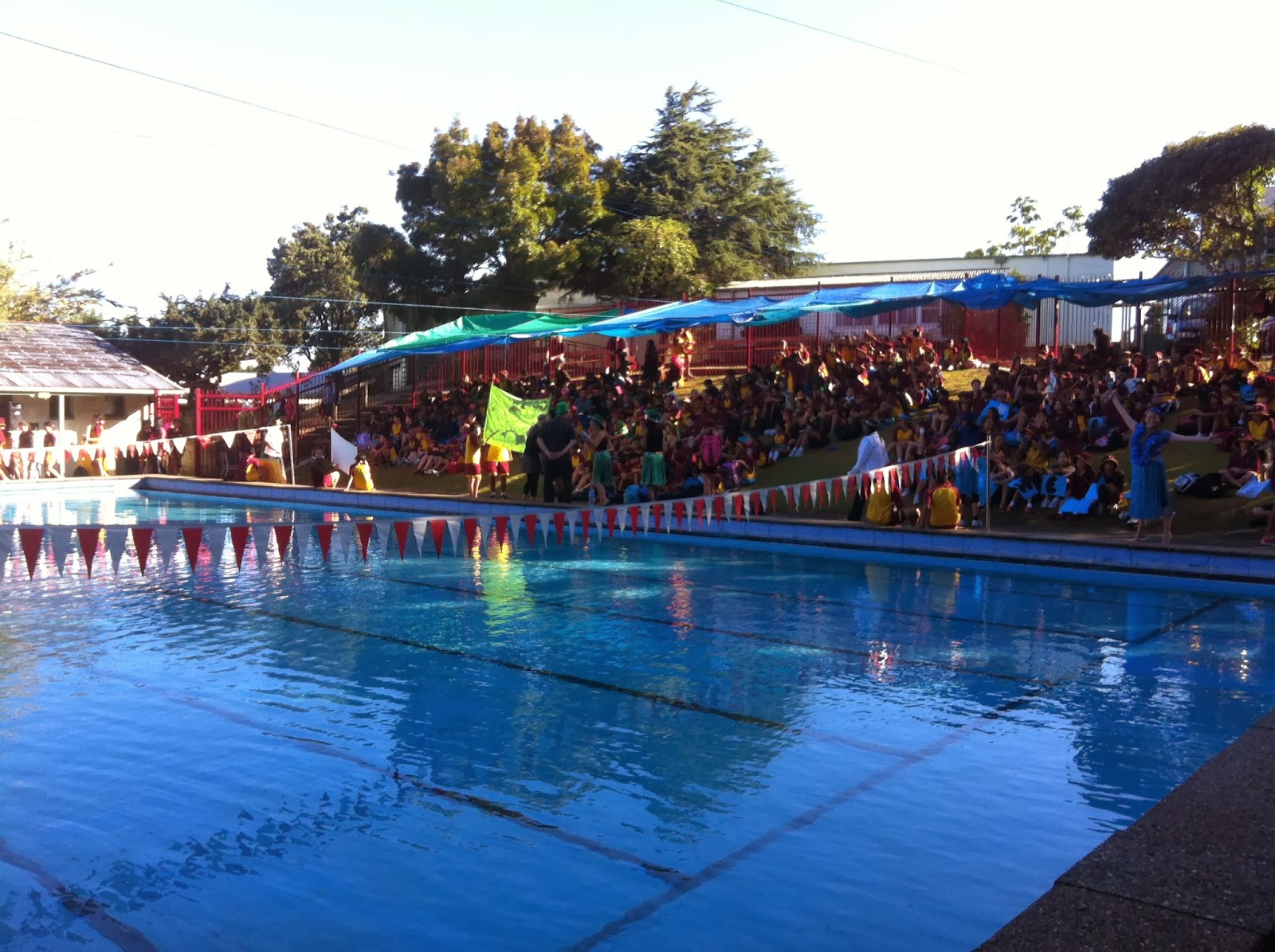 Howick Intermediate Room 6! The mighty COOPER at swimming sports!