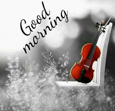 Good Morning Status Images , Shayari Good Morning Quotes For Friends Good Morning Status Images , Shayari Good Morning Quotes For Friends