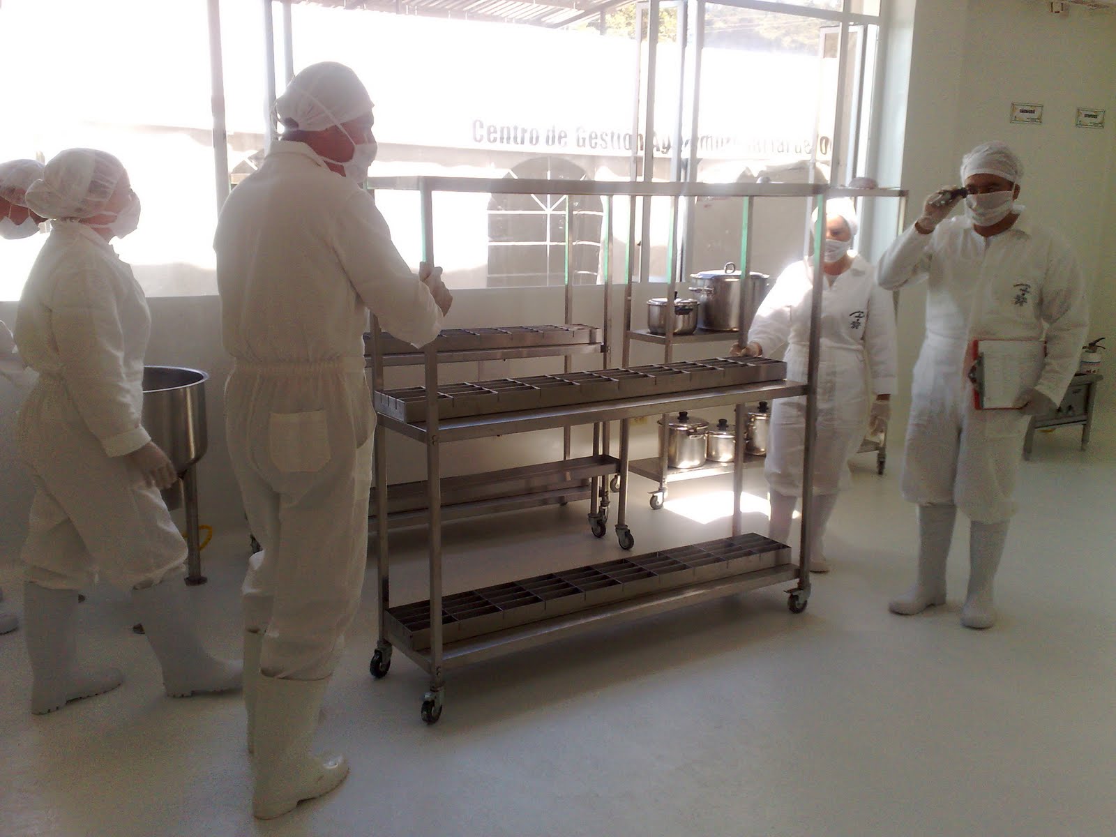 Dulce Tentacion: Áreas de producción