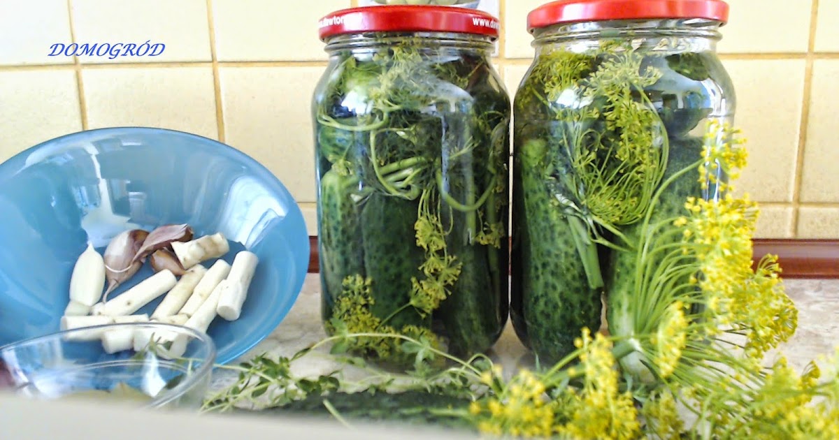Domogród Jak zrobić dobre kiszone ogórki
