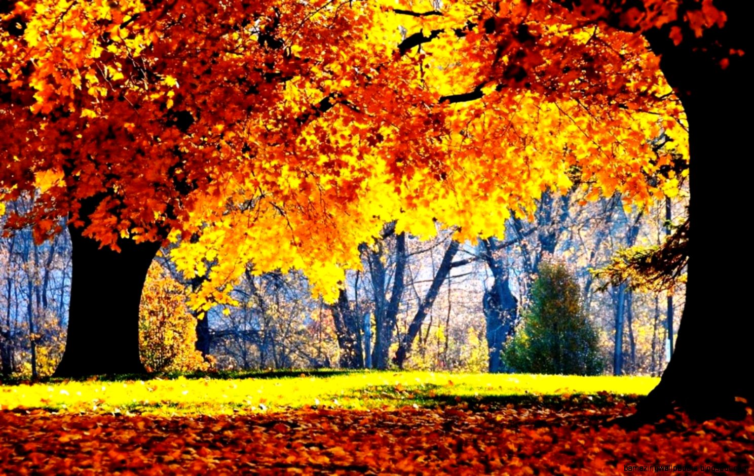 Beautiful Nature cover Photos for facebook timeline 399 pixels