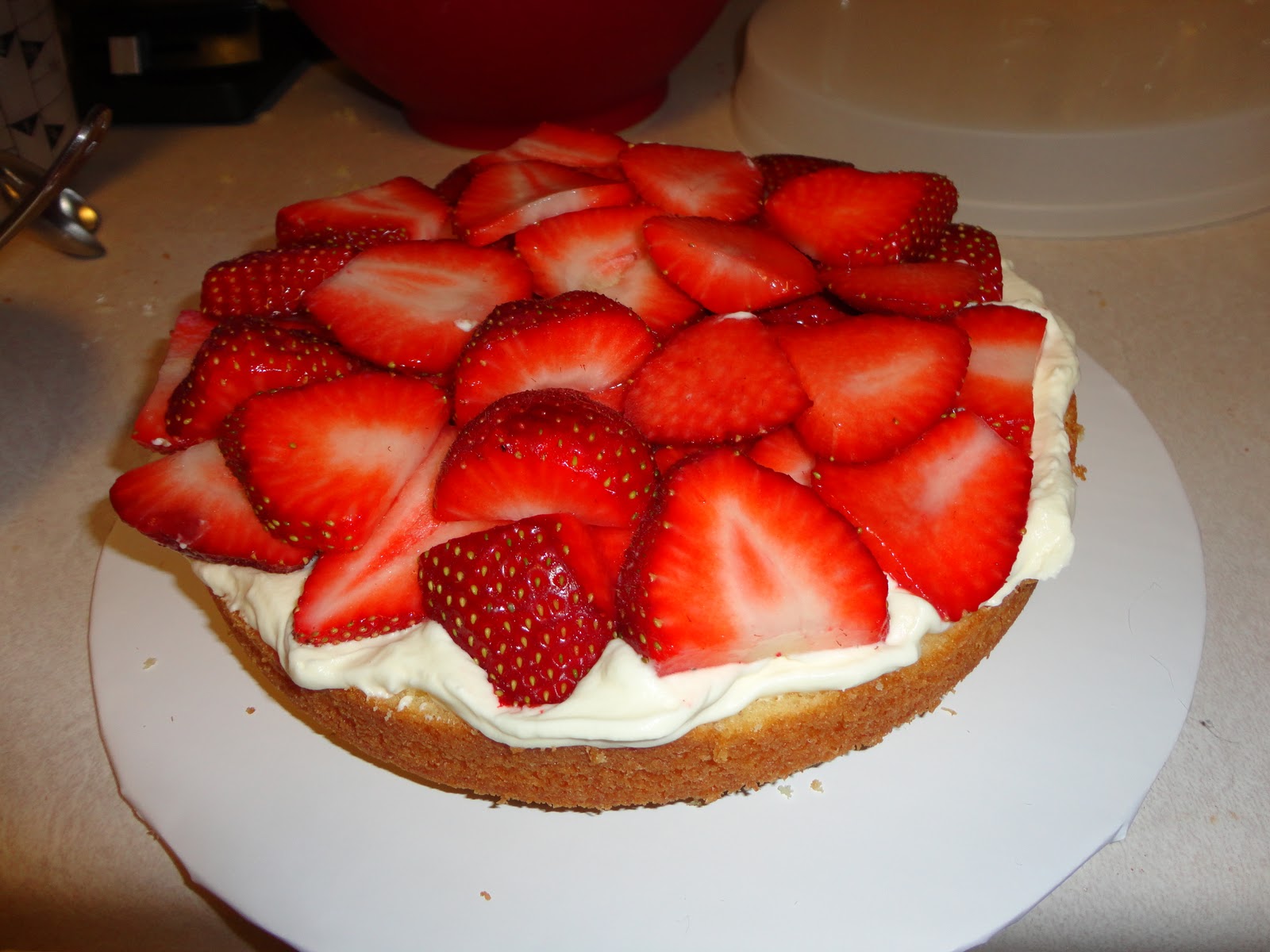 Strawberry Bavarian Cream Lady Finger Cake Tutorial