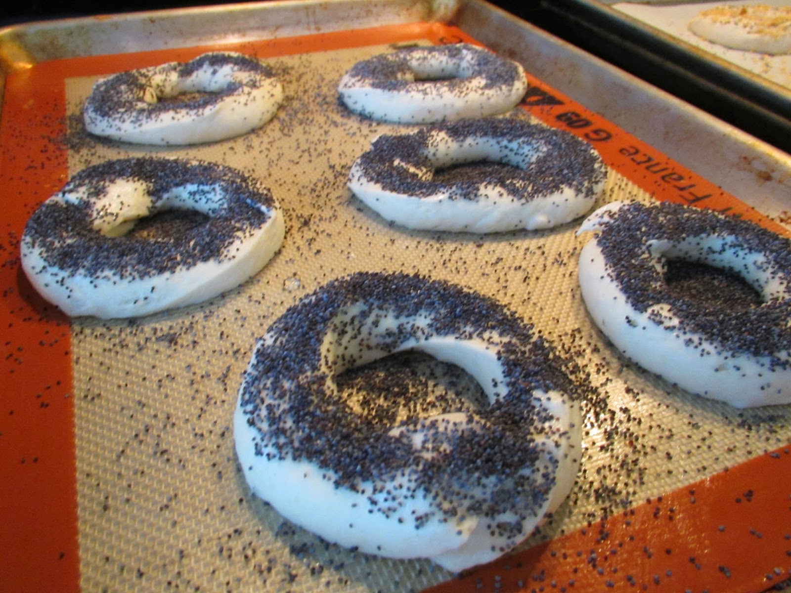 Successfully Gluten Free! Poppyseed Bagels Easy, Delicious