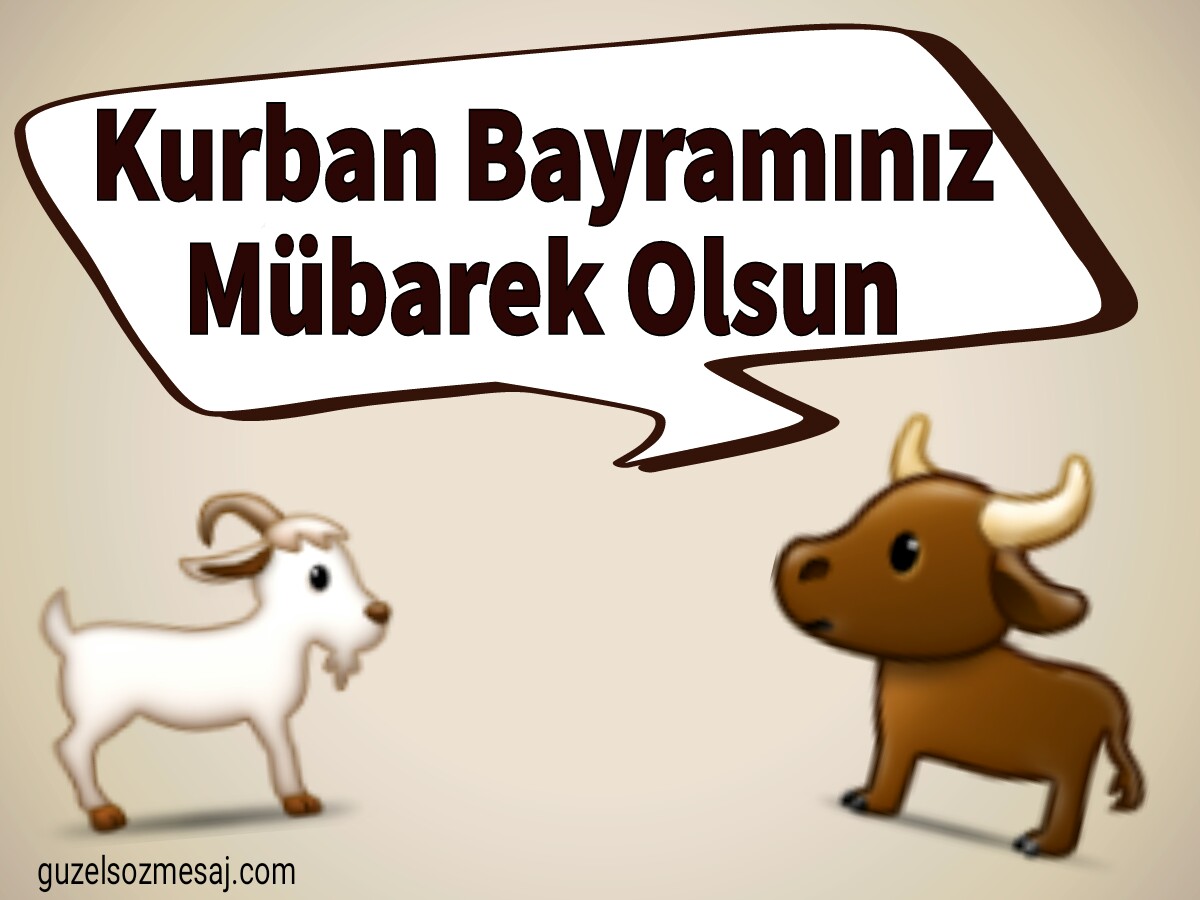 guzel sozler mesajlar