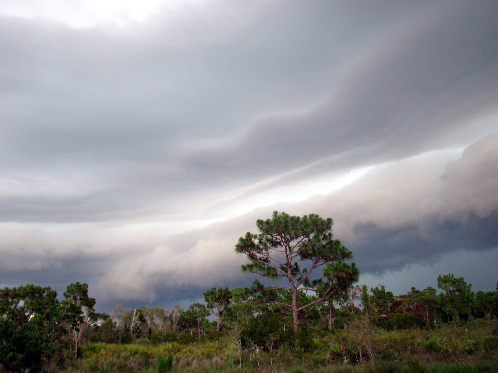 Pine Island, Florida Nature and Weather Photos from Bokeelia